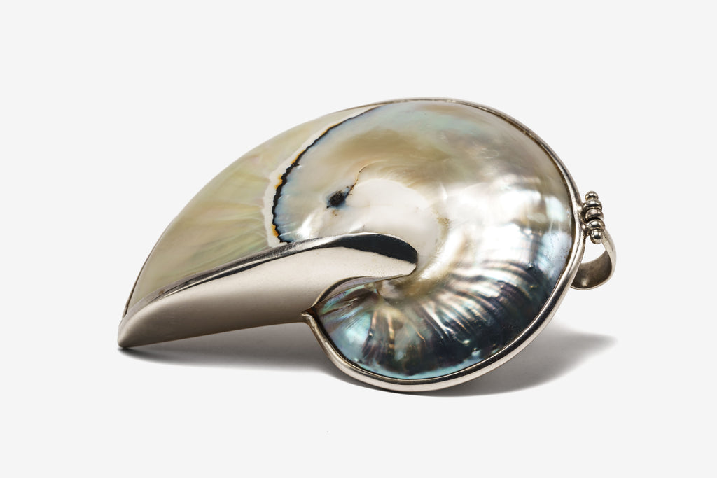 Natural Blue Solara Shell Necklace