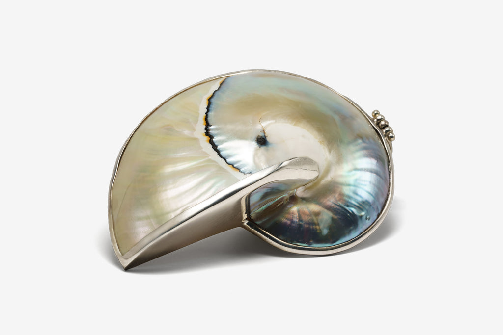 Natural Blue Solara Shell Necklace