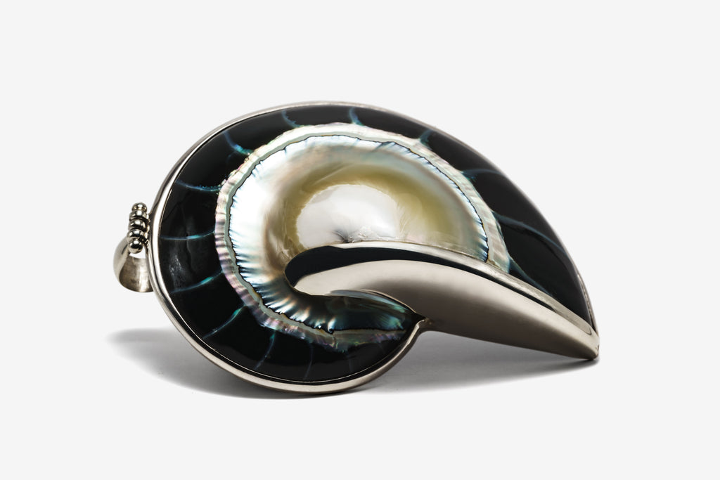 Black Solara Shell Necklace