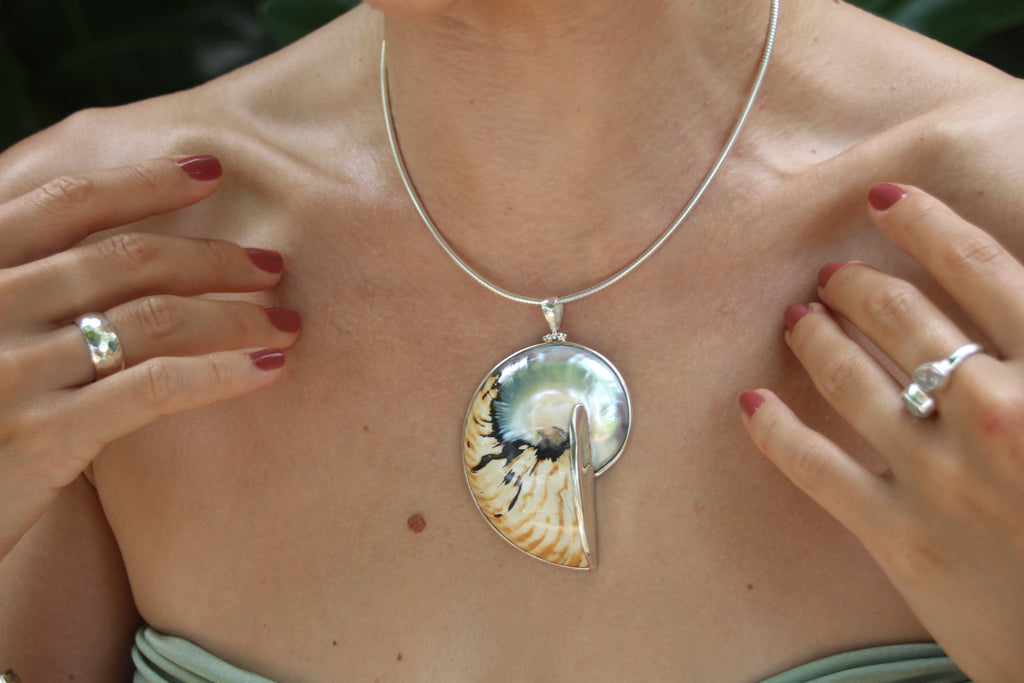 Natural Brown Solara Shell Necklace